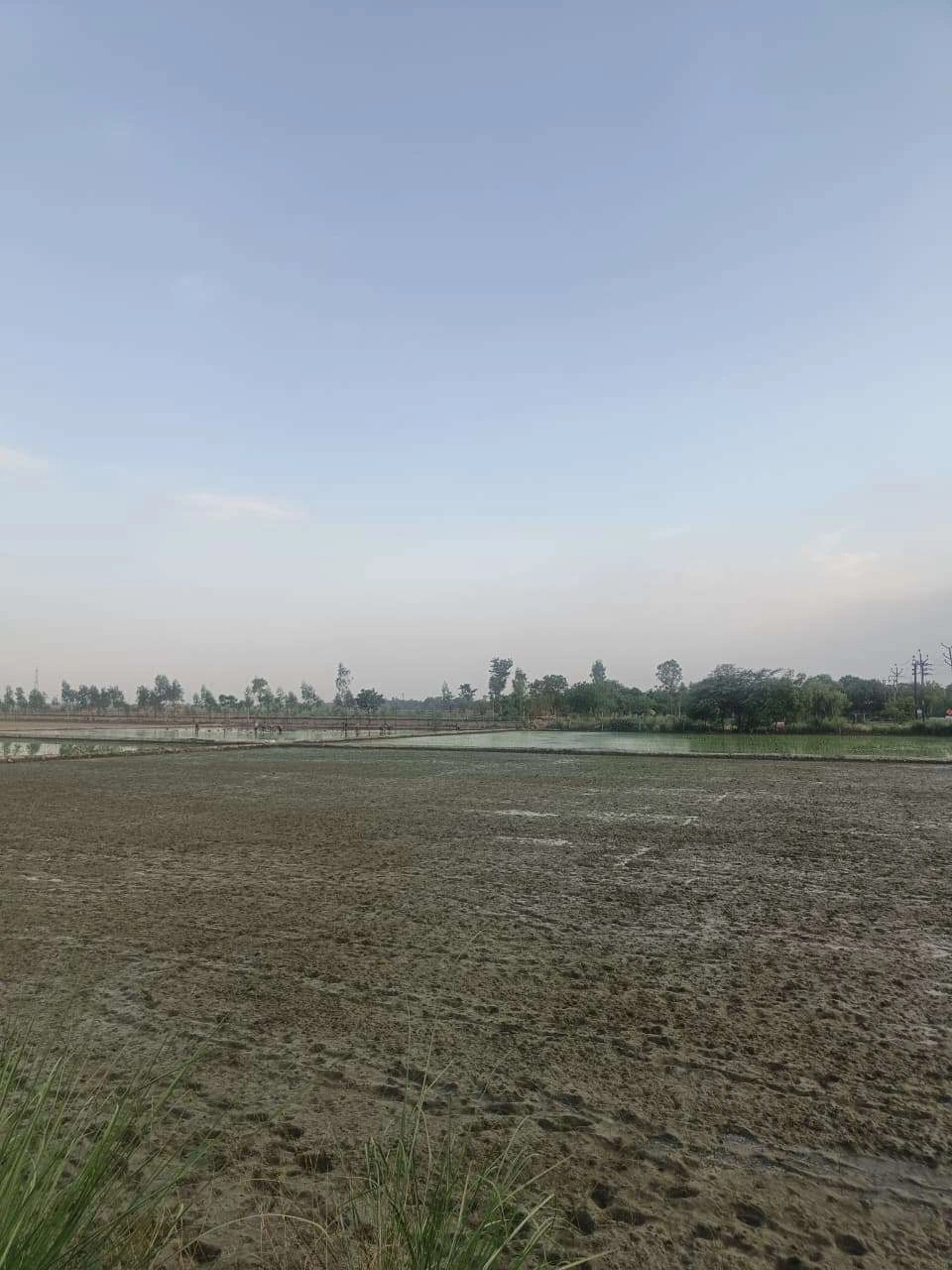 Aou, Rajasthan, India