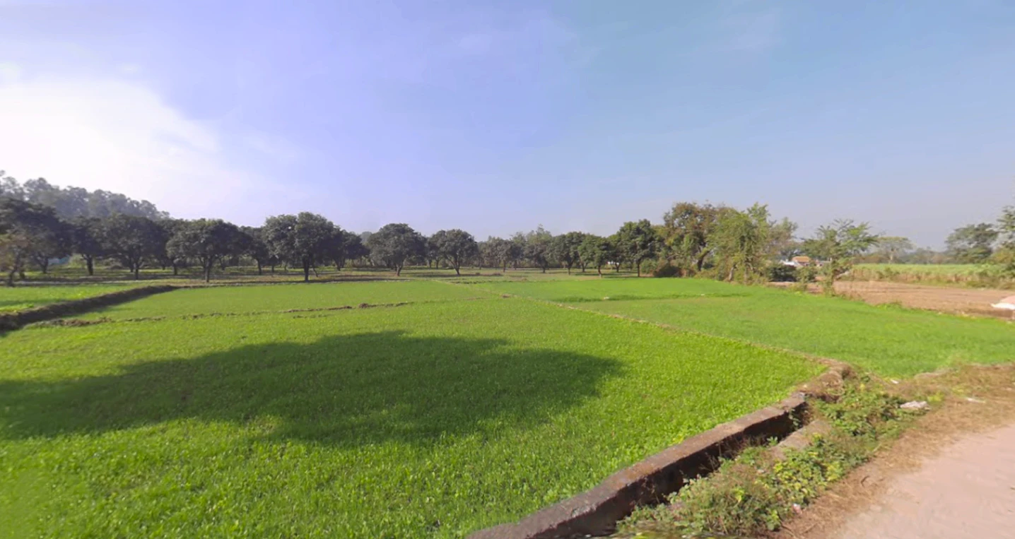 Dharmawala, Herbertpur, Uttarakhand 248142, India