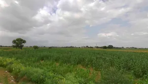 Uttam Marg, Bhawanipura, Rajasthan 303903, India preview 2
