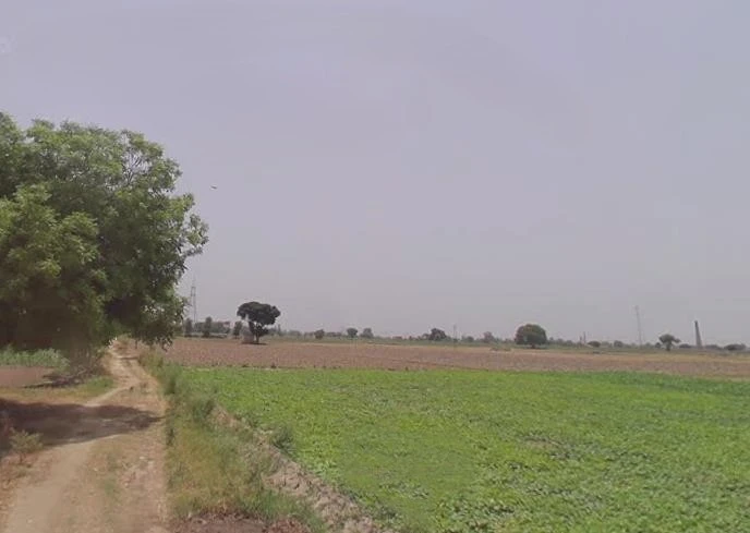 Sirondhan, Uttar Pradesh 203205, India