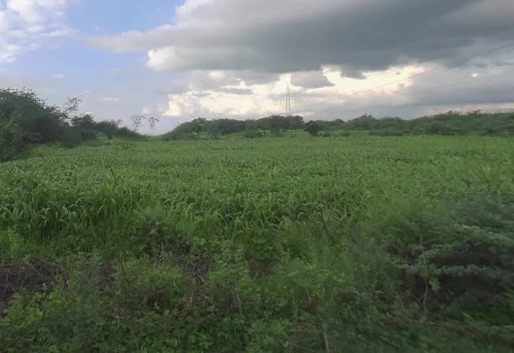 Khori, Rajasthan 305021, India