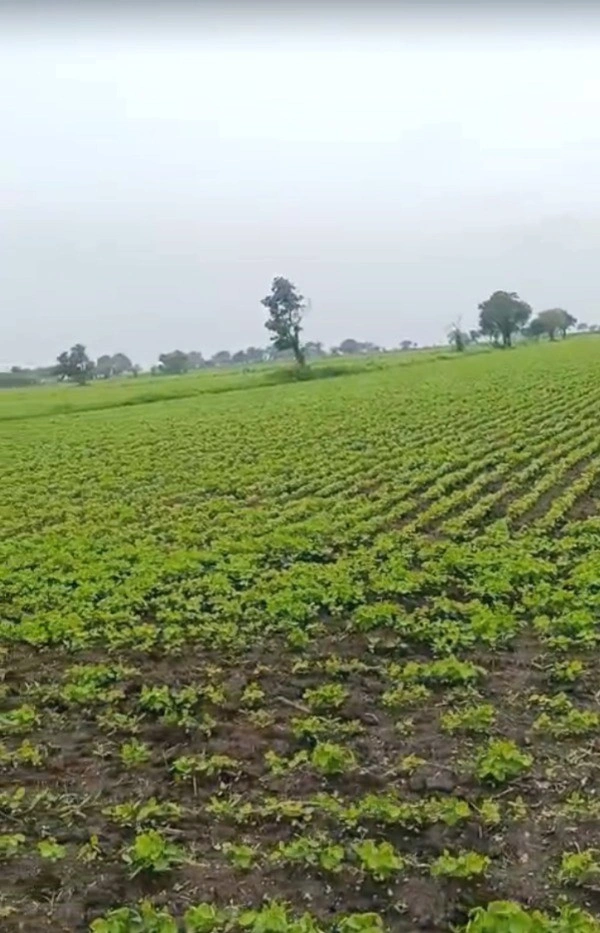 3FH2+FF9, Untwas, Madhya Pradesh 456771, India