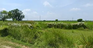 Mohanlalganj, Uttar Pradesh 226301, India preview 3