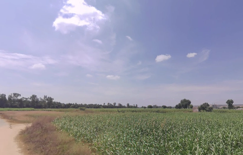 Indri Road, Atta, Sohna, Haryana 122103, India