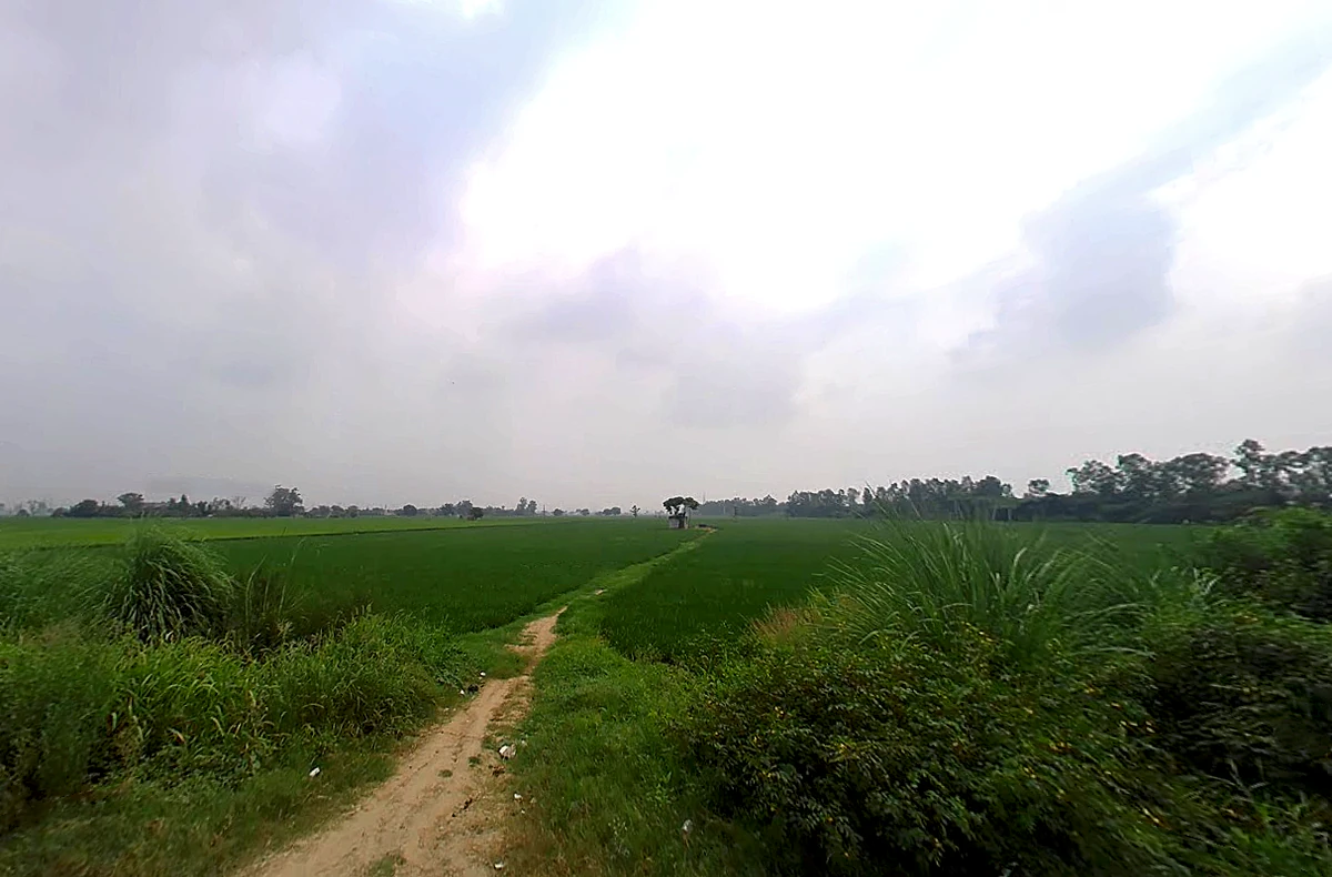 Nilokheri, Haryana 132117, India