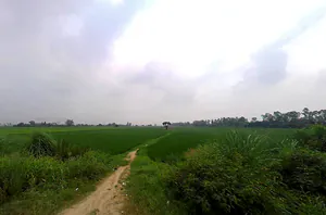 Nilokheri, Haryana 132117, India preview 3