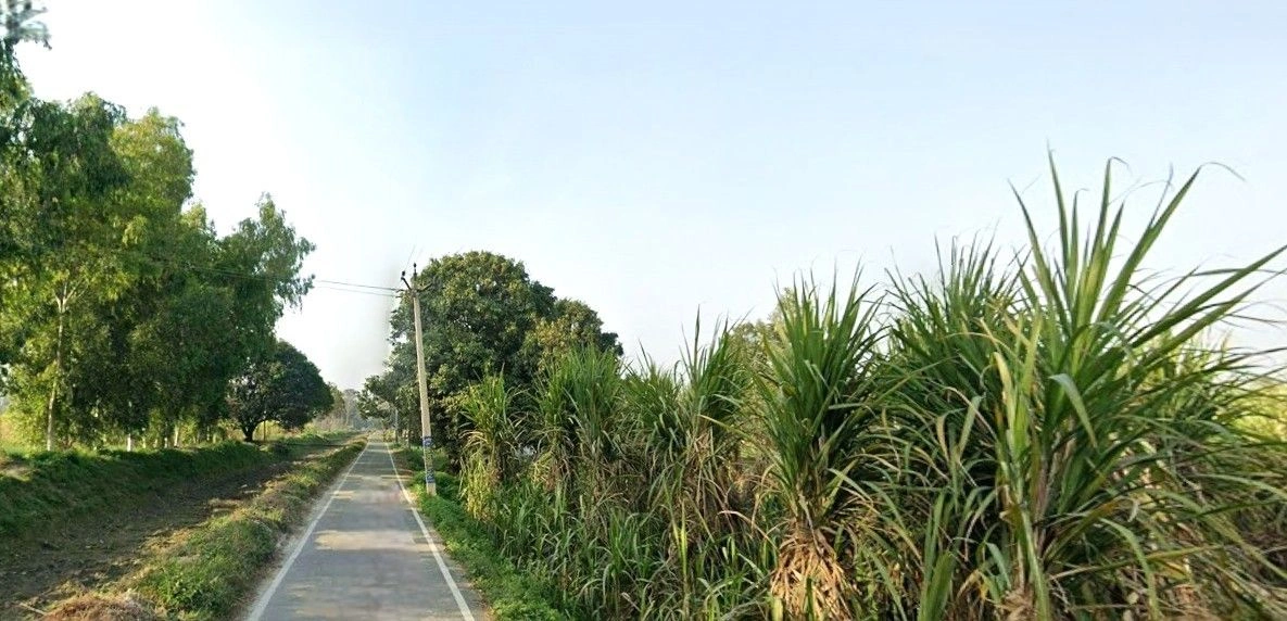 Sardhana, Uttar Pradesh 250342, India