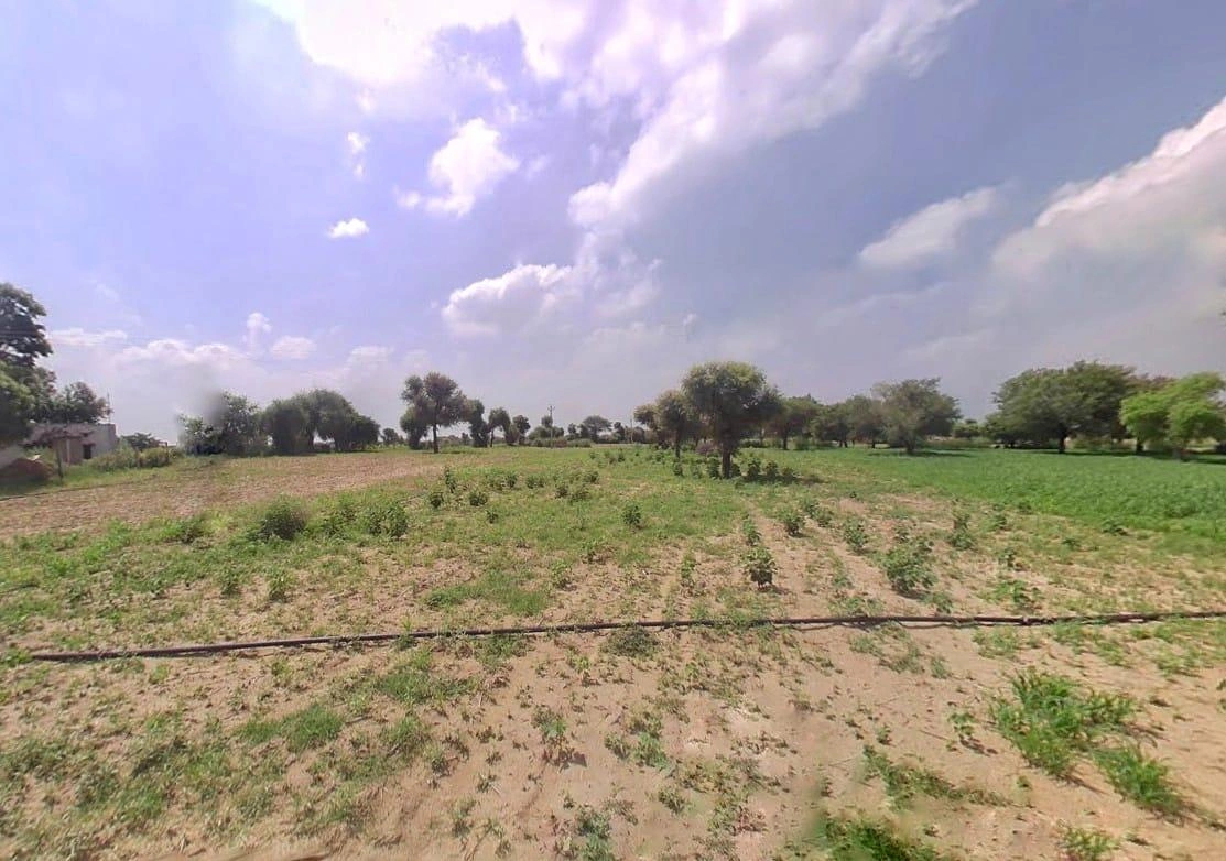 CQC2+HQ5, NH709, Peepli, Rajasthan 333031, India