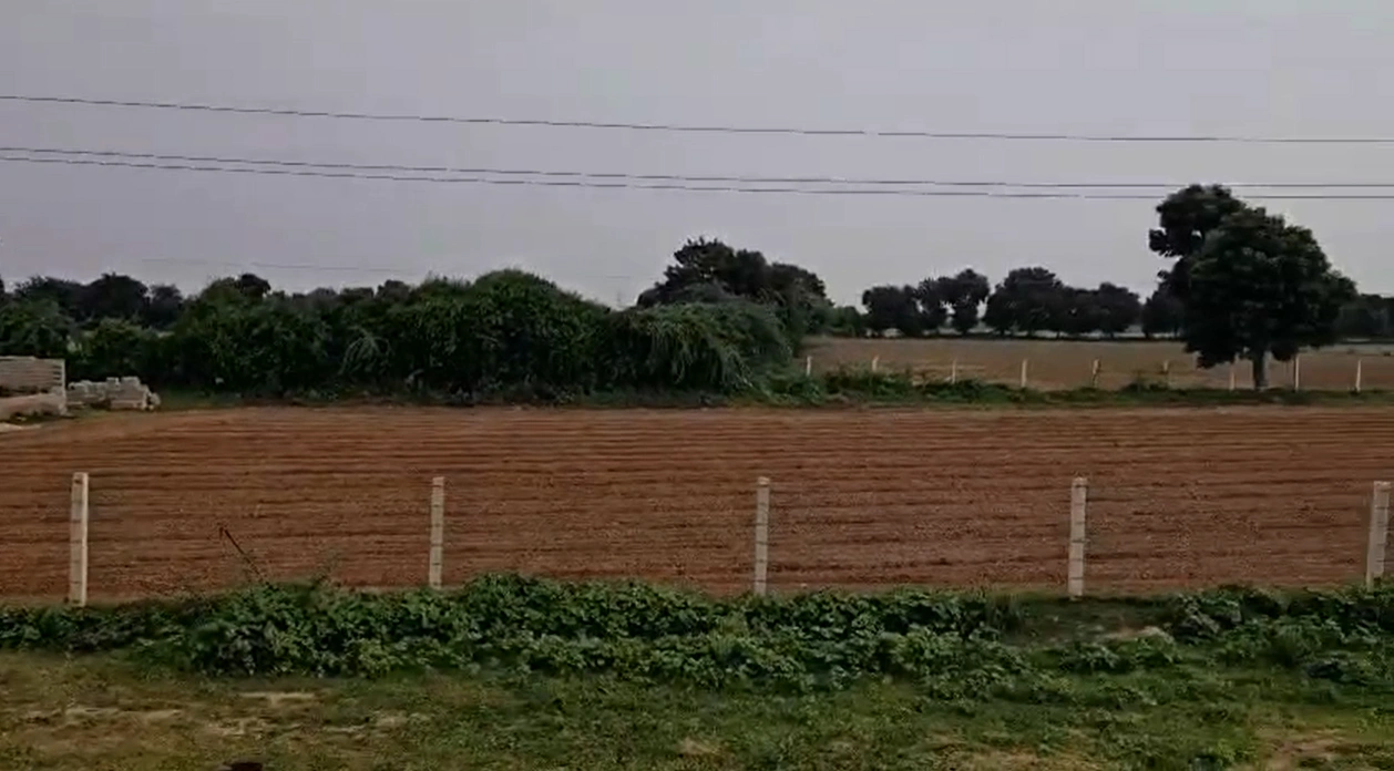 Radhanpur, Gujarat 385340, India