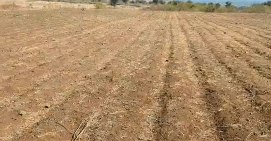 Surwaya, Shivpuri, Madhya Pradesh 473551, India