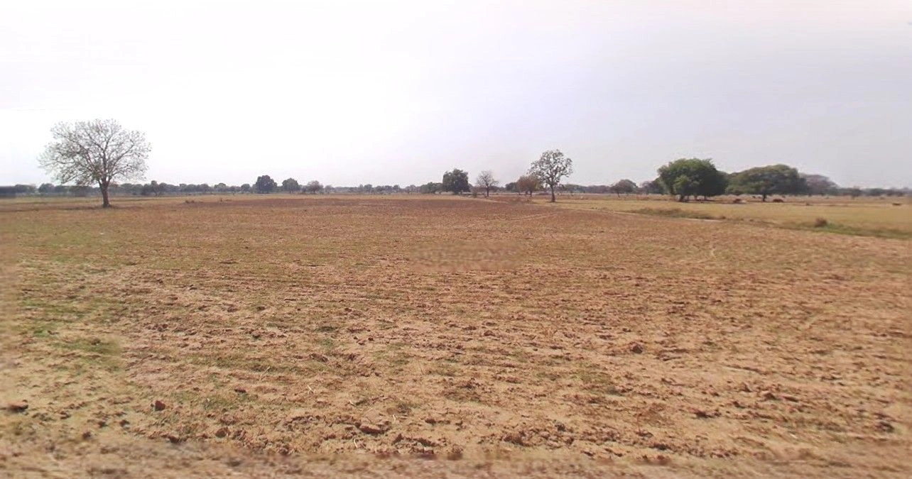 3W2Q+Q7X, Mazahidpur Satiwala Mazbata, Uttarakhand 247661, India