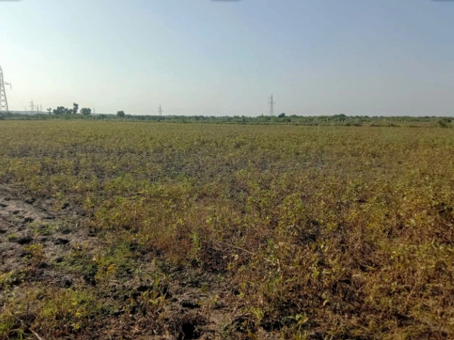 QH2P+CFM, Junglee Mohal, West Bengal 735234, India