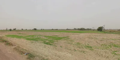 Kaimri, Haryana 125005, India preview 2