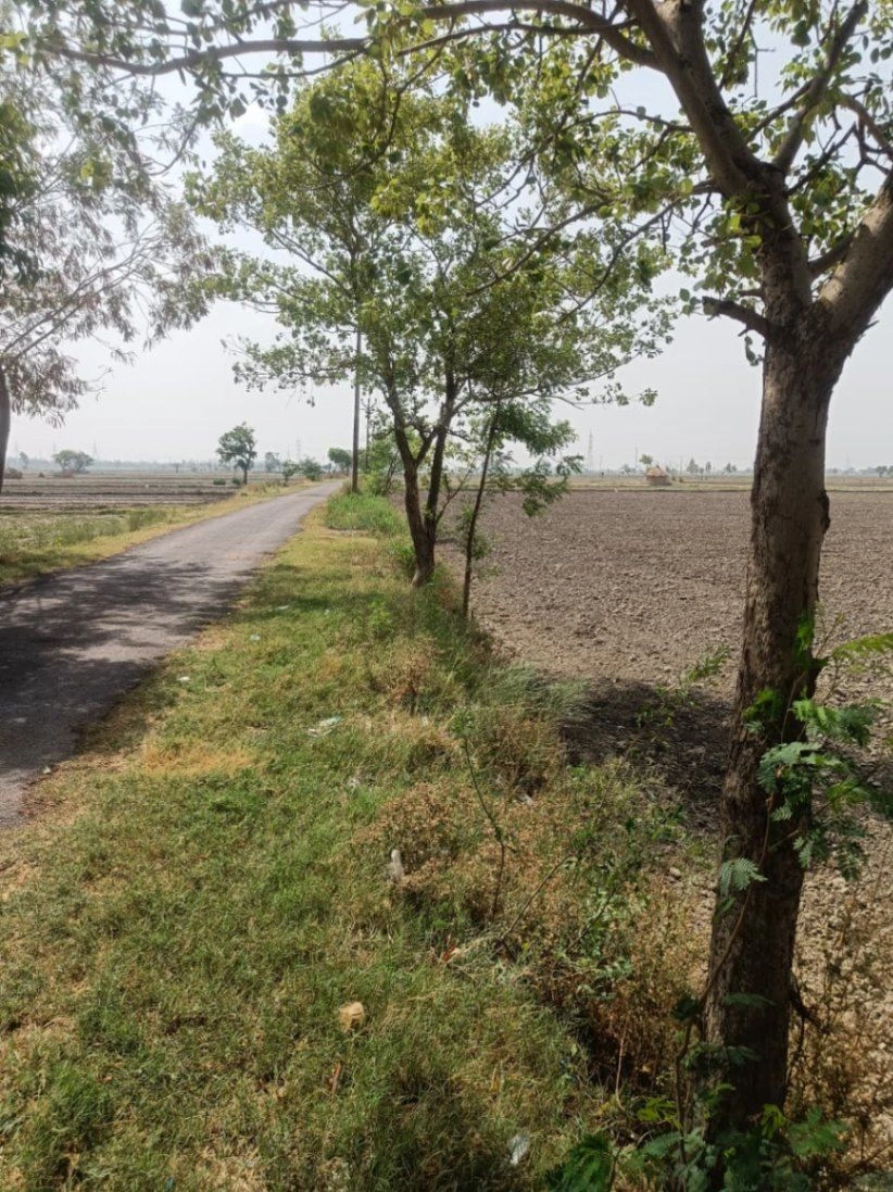 Aou, Rajasthan, India