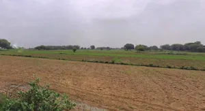 Haridwar, Uttarakhand, India preview 2