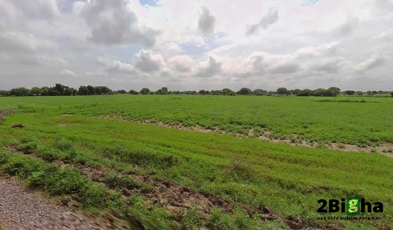 Chhatarpur, Madhya Pradesh 471001, India preview 3