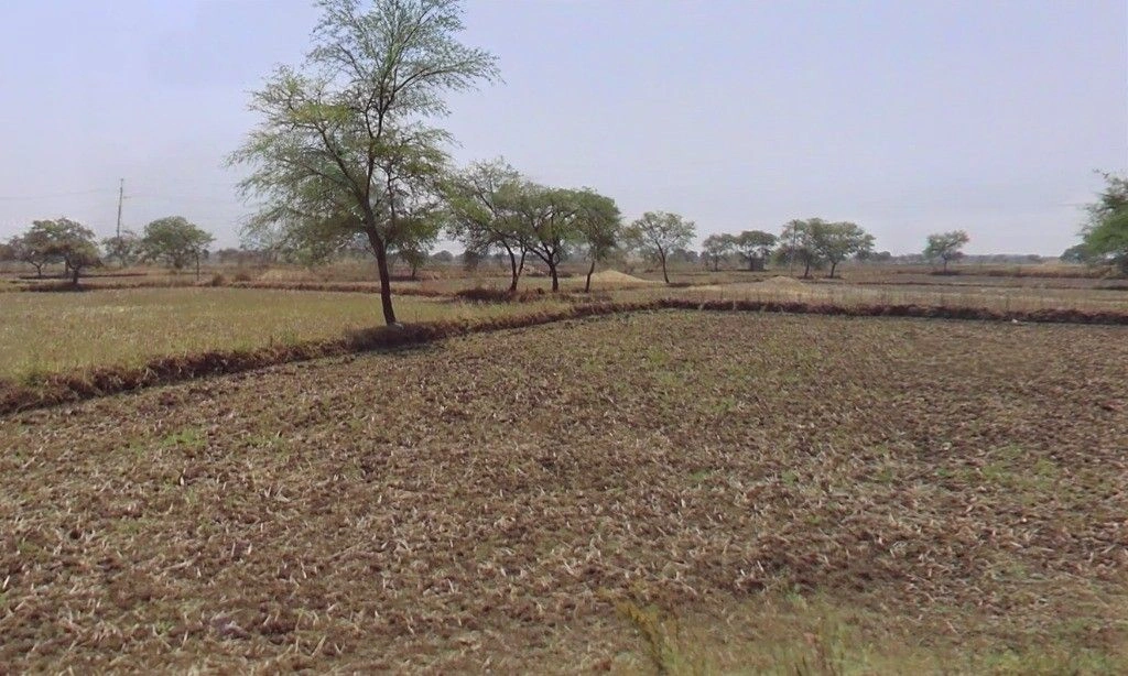 Sohagpur, Chhattisgarh, India