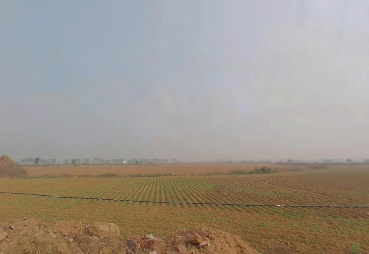 VV56+8J Shekhpur Jatt, Rajasthan, India