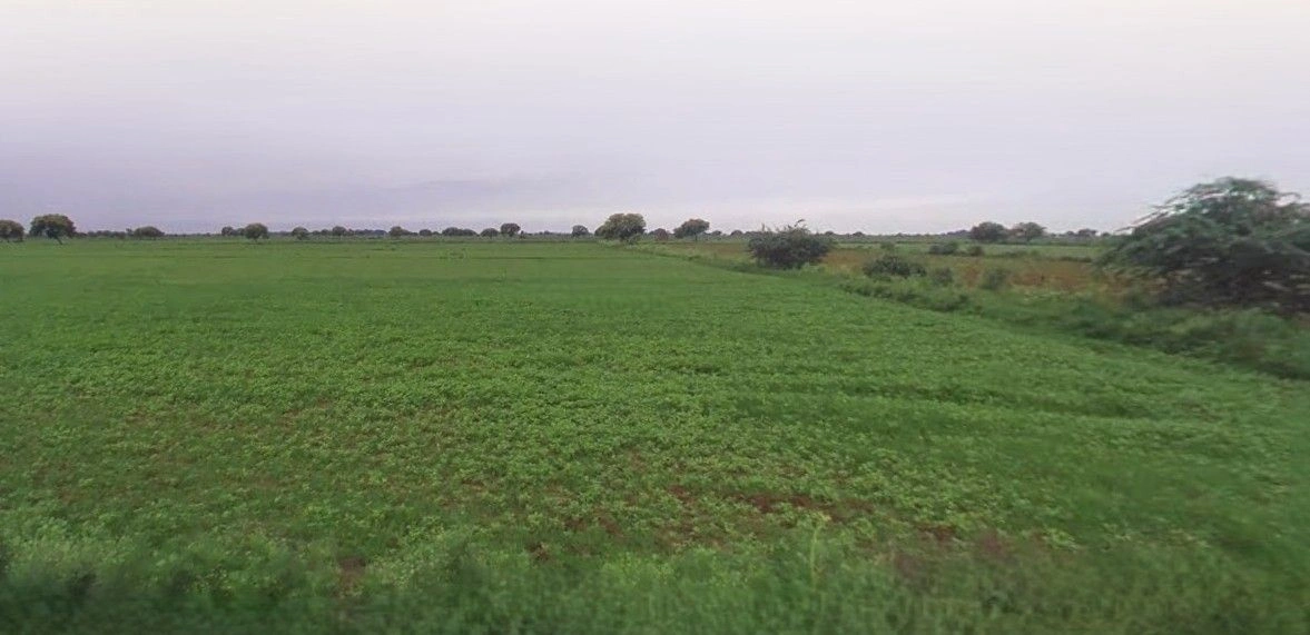 Sarojini Nagar, Lucknow, Uttar Pradesh, India