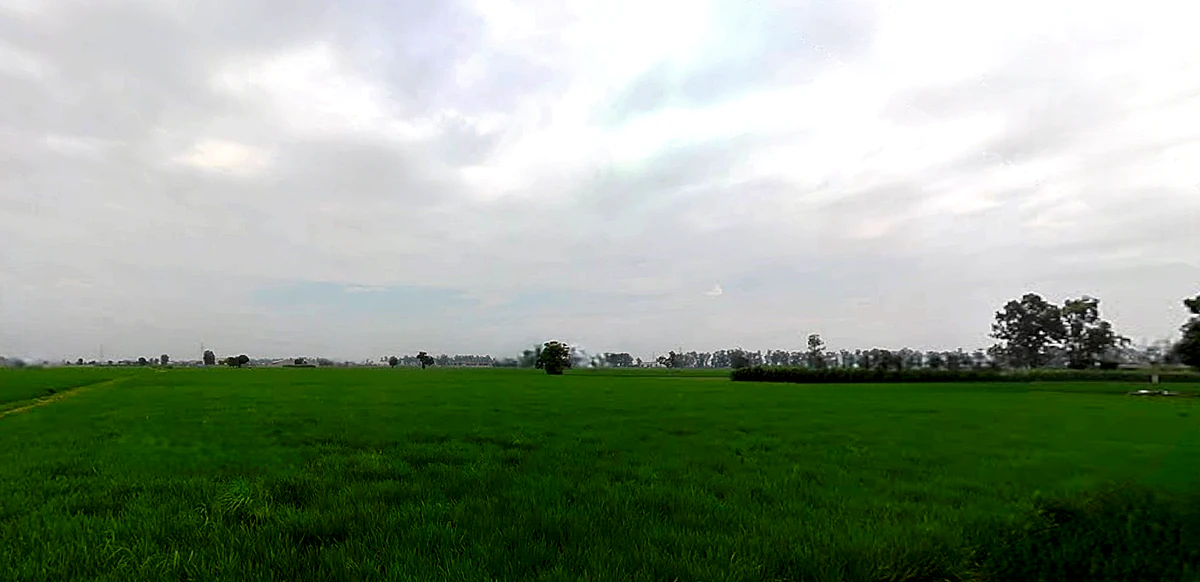 Morinda - Chunni Rd, Bhateri, Punjab, India