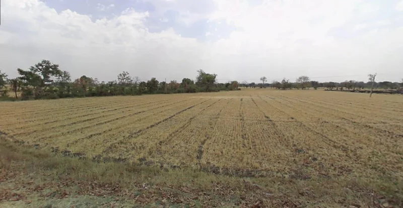 CJQ5+H36, Raiyapur, Madhya Pradesh 456443, India preview 2