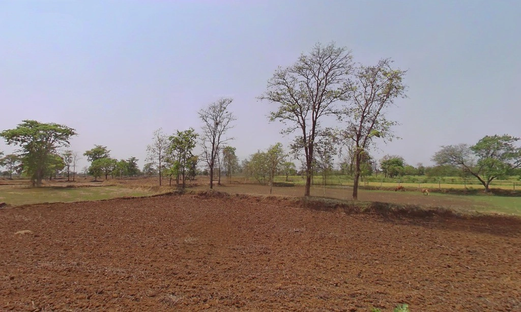 Manikchauri, Chhattisgarh 493661, India