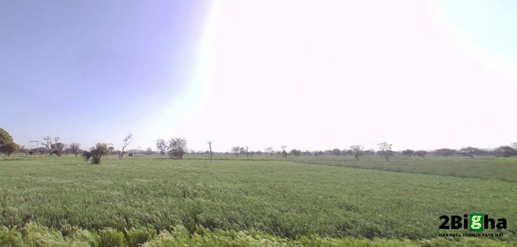 Mohanpura, Rajasthan, India