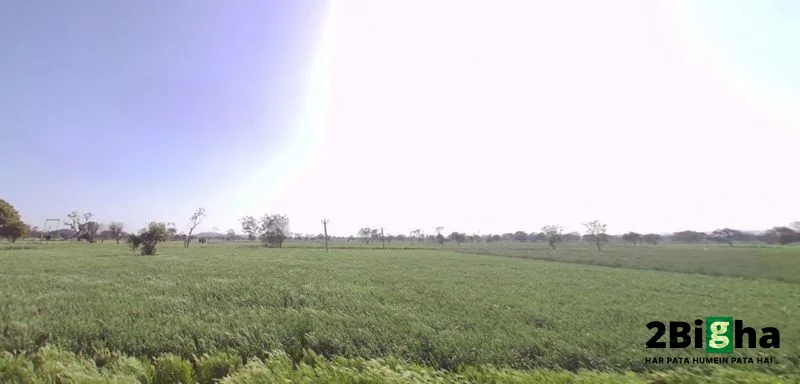 Mohanpura, Rajasthan, India preview 2