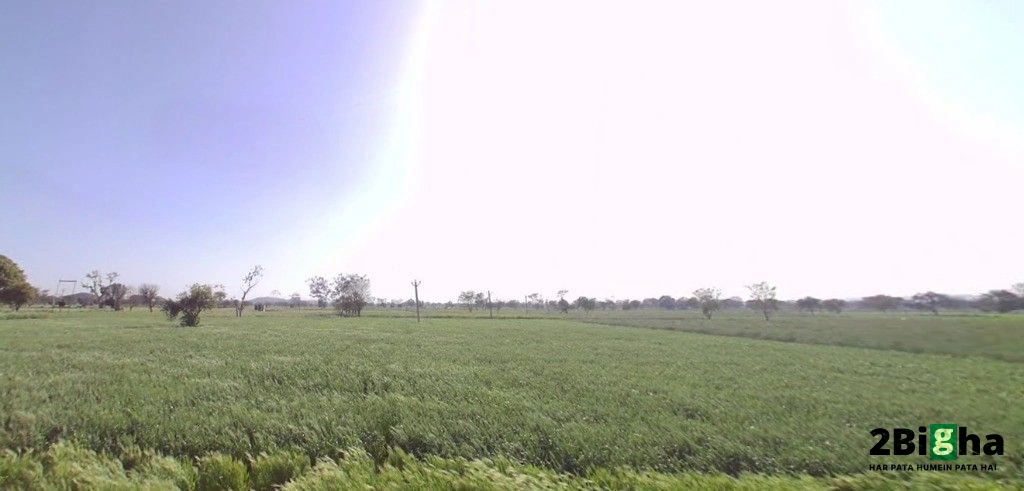 Mohanpura, Rajasthan, India