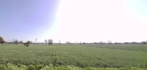 Mohanpura, Rajasthan, India preview 2