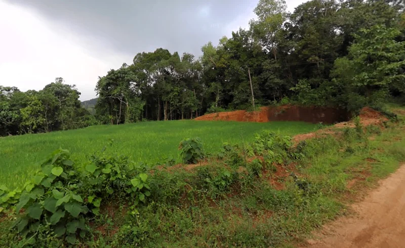 Mulbagal, Karnataka 563131, India preview 3