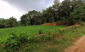 Mulbagal, Karnataka 563131, India preview 3