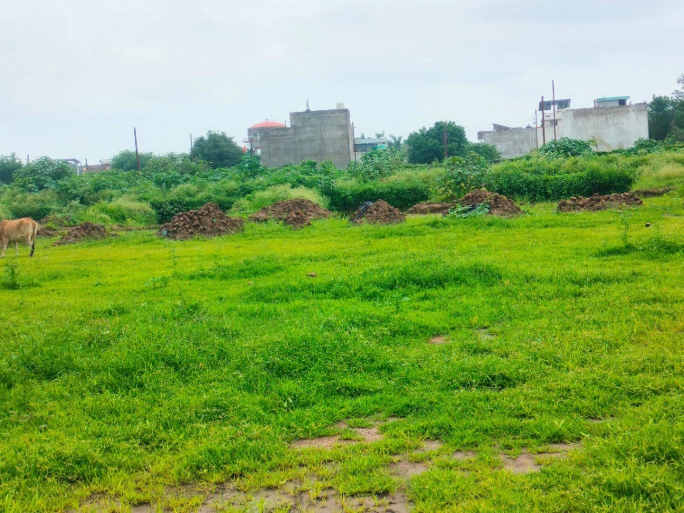 Nawakheda, Ujjain, Madhya Pradesh 456006, India