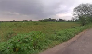 Ujjain, Madhya Pradesh, India preview 2