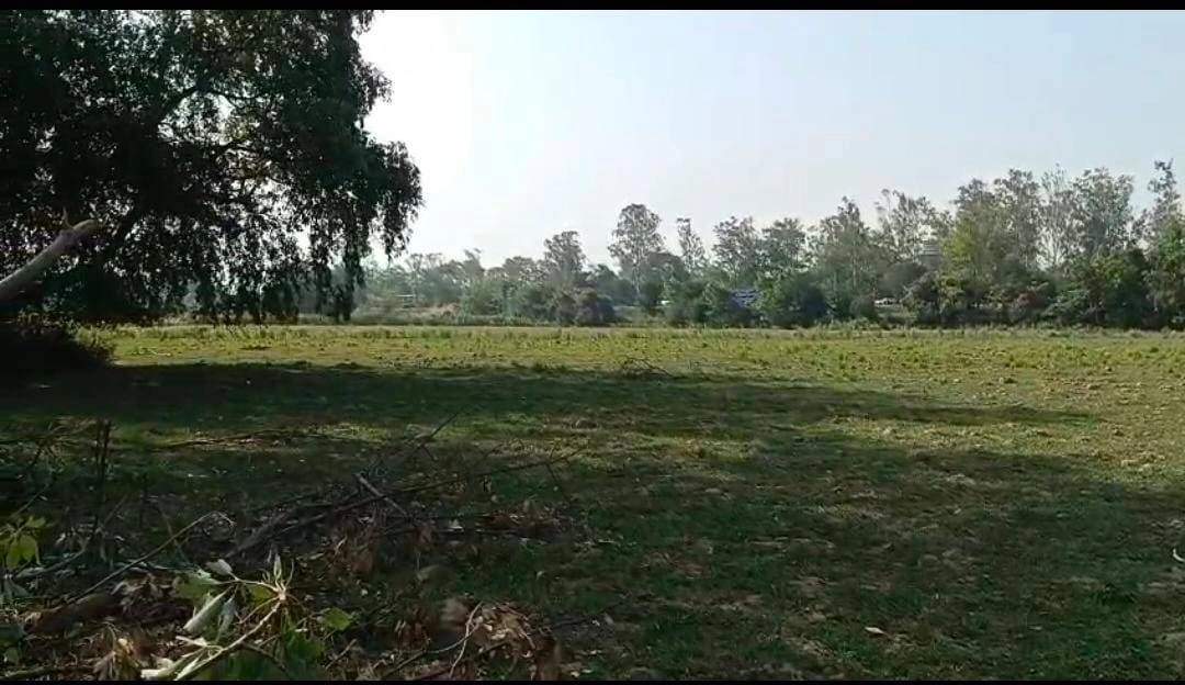 Sujrai, Kasganj, Uttar Pradesh 207241, India