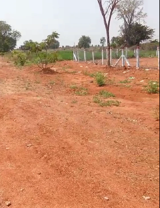 Vangoor, Telangana 509349, India