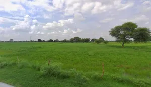 Chhatarpur, Madhya Pradesh 471001, India preview 2