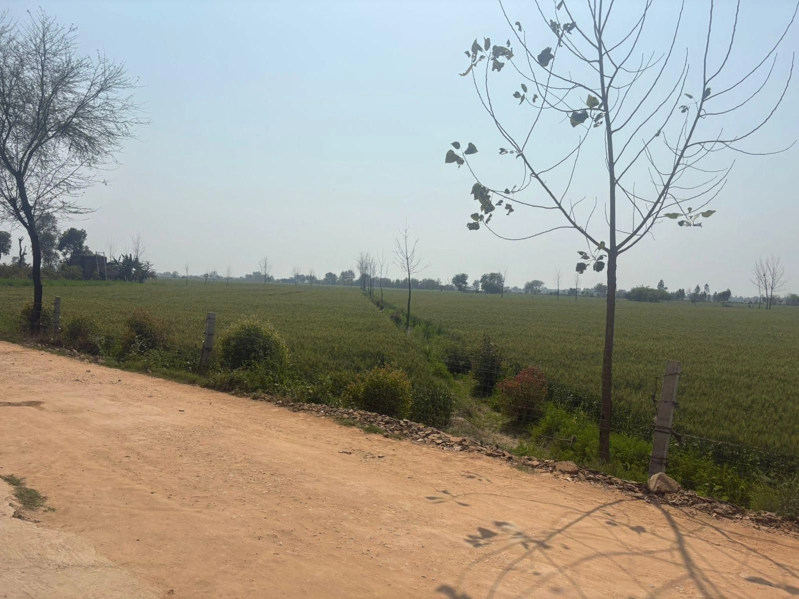 5GMR+RWW, Bagpur Khurd, Haryana, India