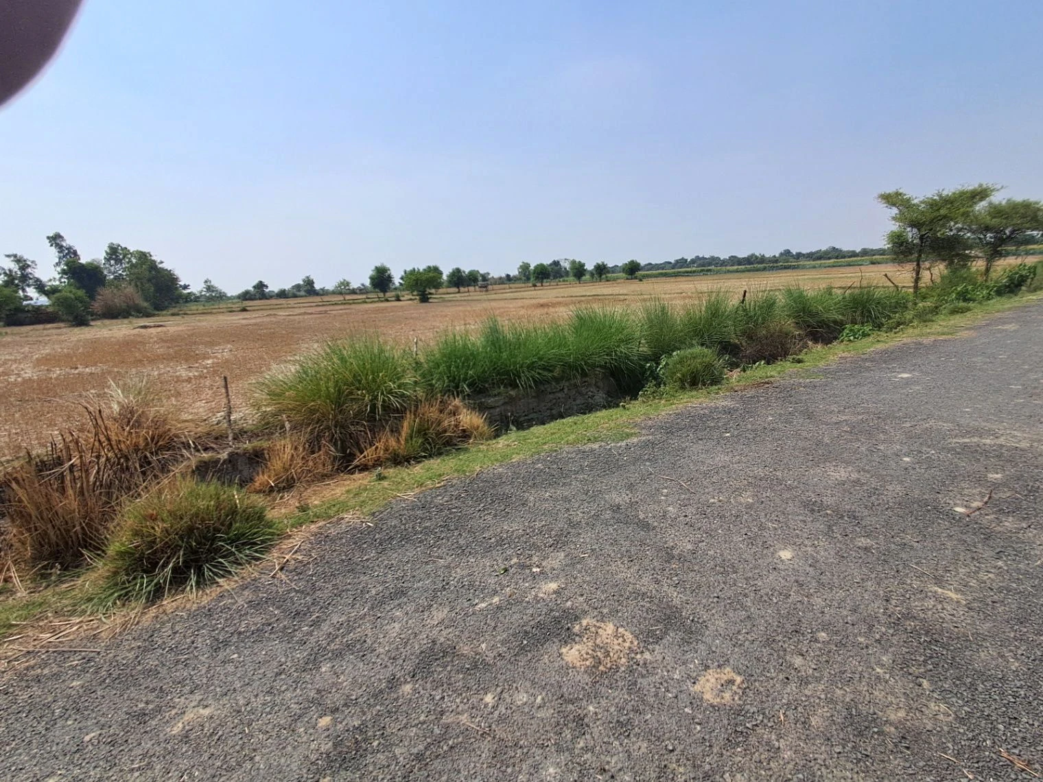 M2RH+C4 Taram Khas, Uttar Pradesh, India