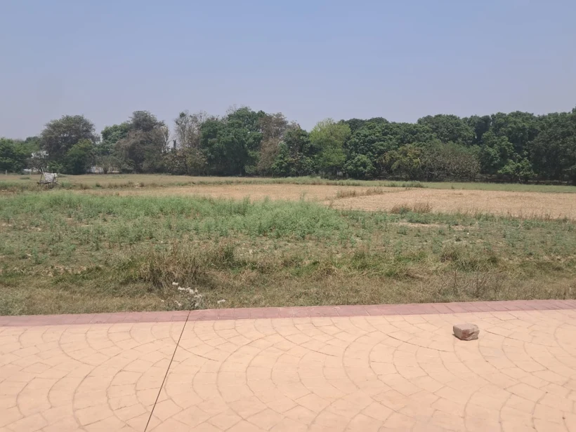 Barnagar, Madhya Pradesh 456771, India