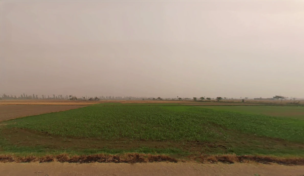 Firozpur Kalan, Haryana 121004, India