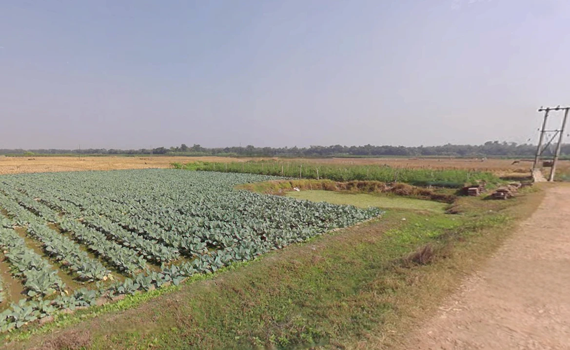 Amdanga, West Bengal 743221, India