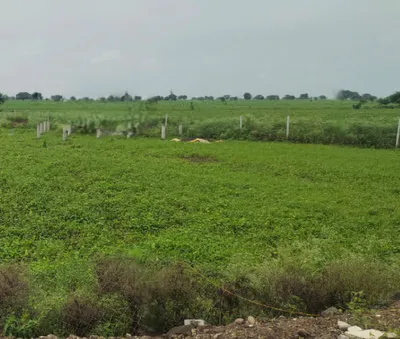 Unchakani, Uttar Pradesh 244001, India preview 3