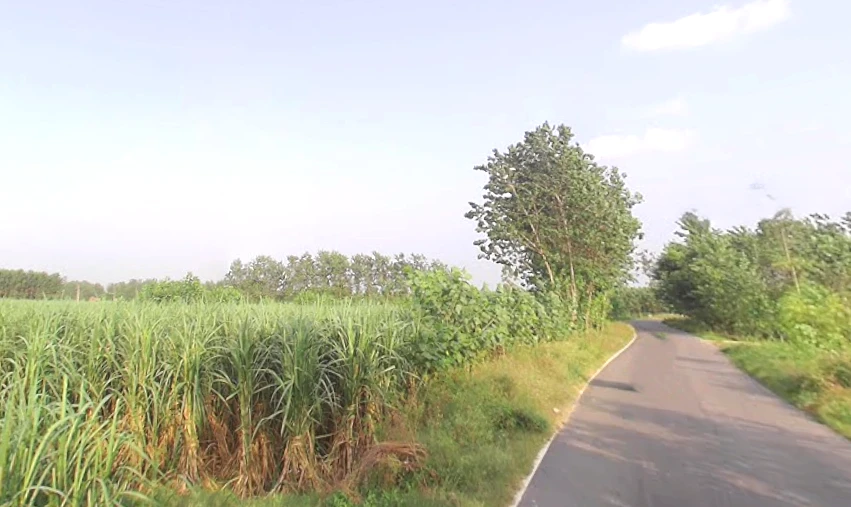 Takipur Aht., Uttar Pradesh 247662, India
