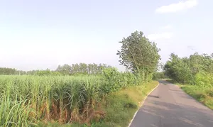 Takipur Aht., Uttar Pradesh 247662, India preview 2