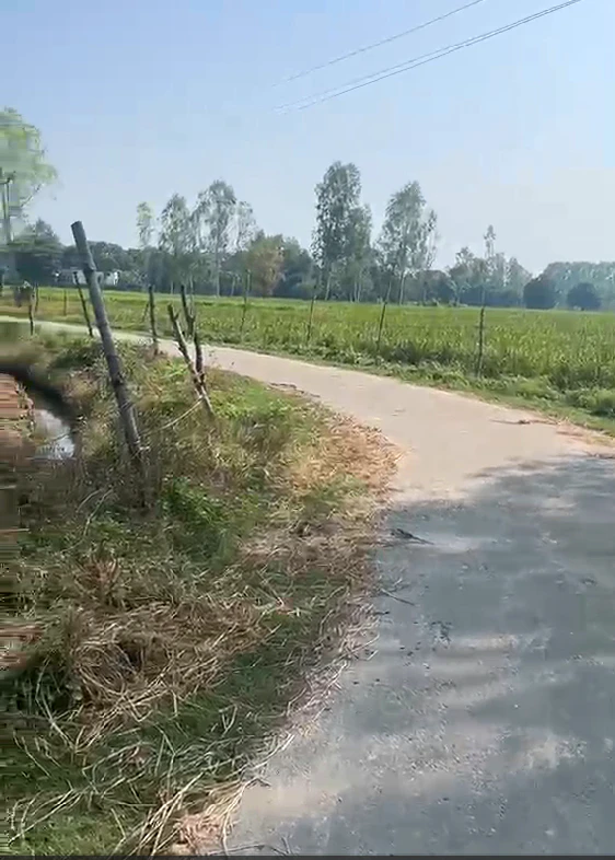 Rudauli, Ayodhya, Uttar Pradesh 224120, India