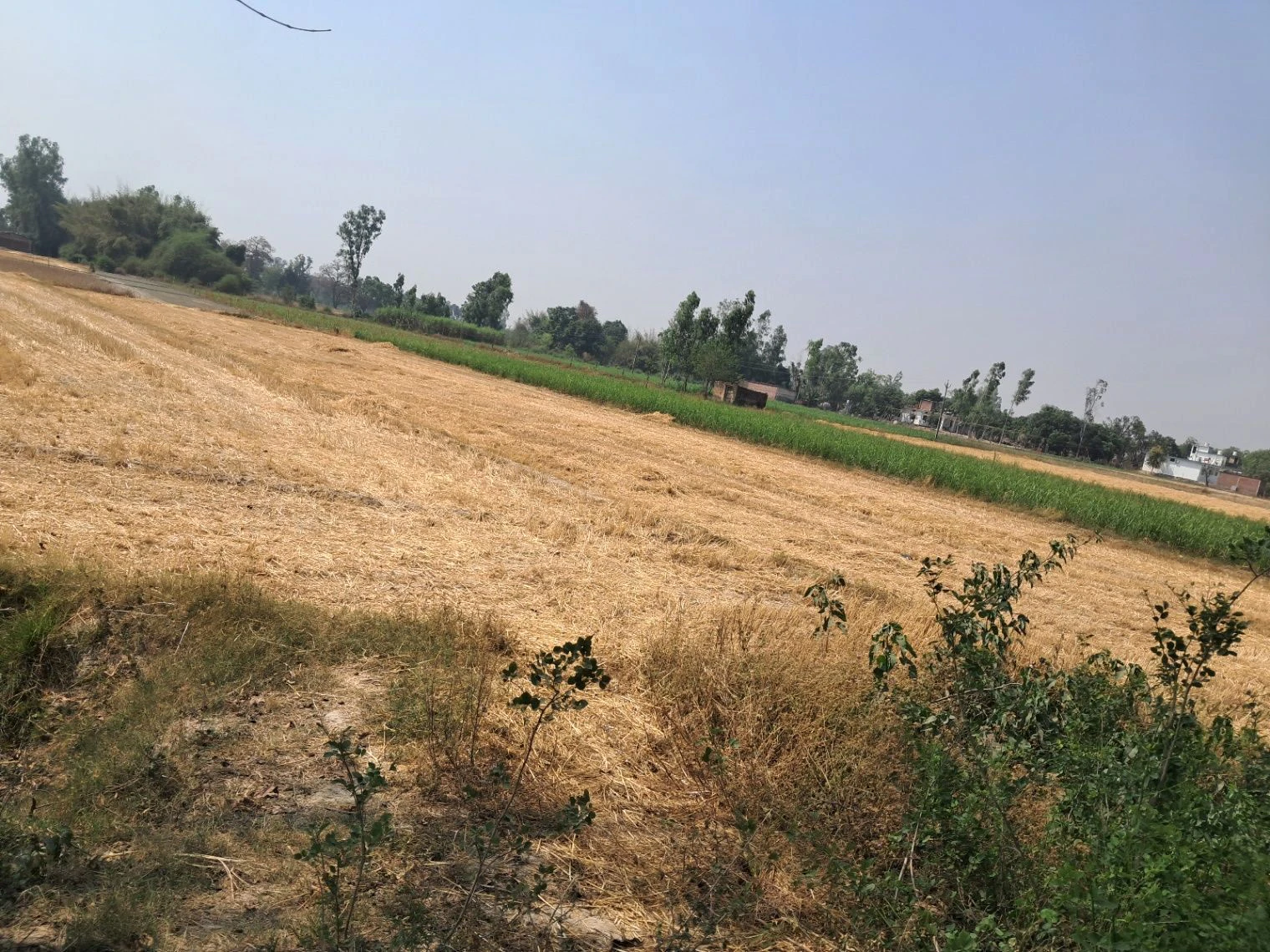 M2RC+WG Taram Khas, Uttar Pradesh, India