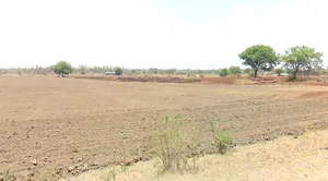 Ranoli, Rajasthan 303501, India preview 3