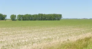 Basondi, Madhya Pradesh 475220, India preview 2