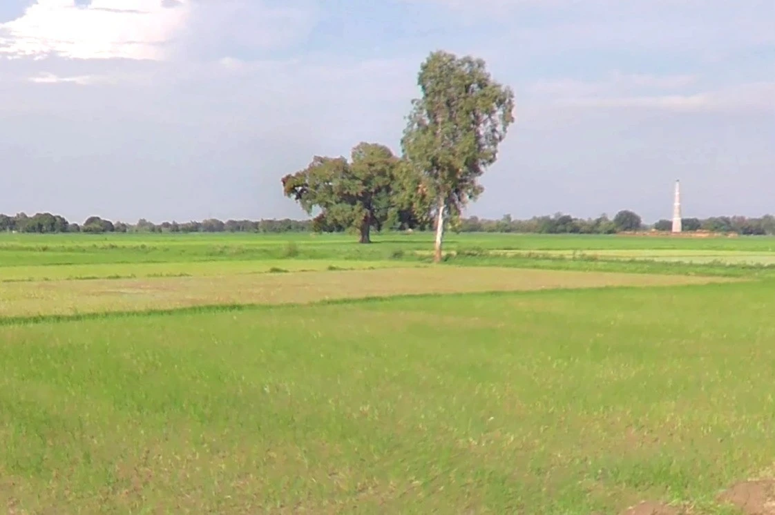 Panthpiplai, Madhya Pradesh 456006, India